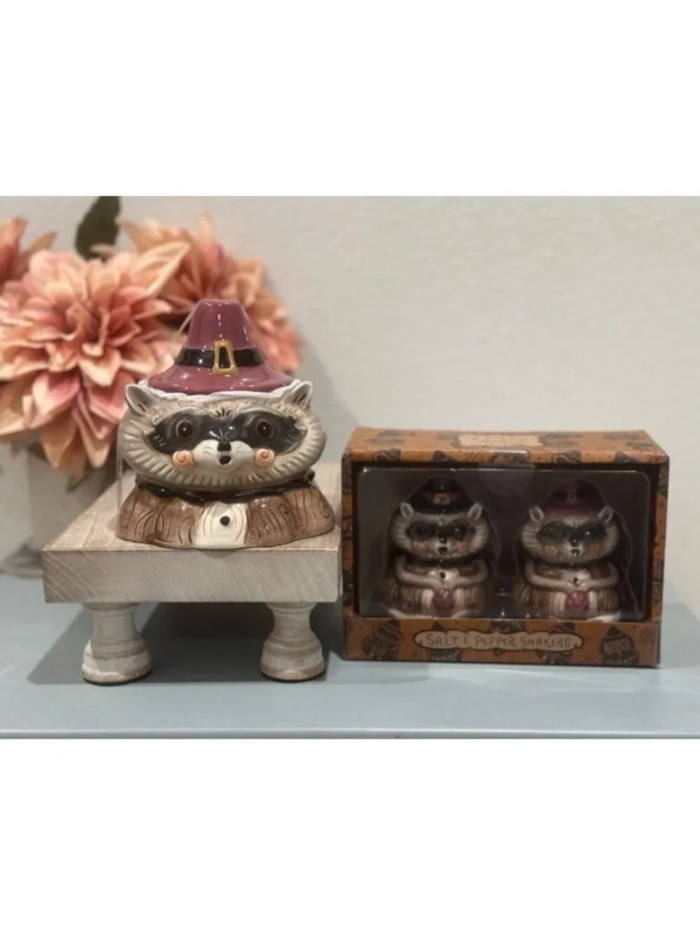 Johanna Parker Thanksgiving Pilgrim Sm Raccoon Jar Salt Pepper Shakers Set Table